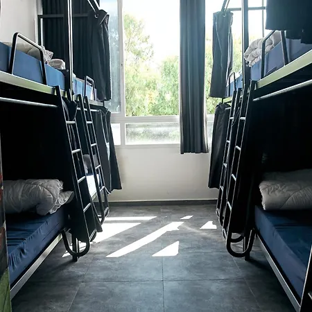 Jungle Jaffa Hostel Age 18 To 45-2