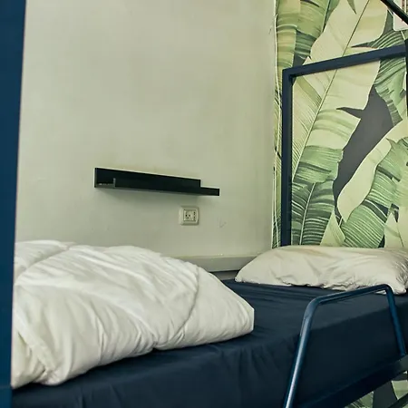 Jungle Jaffa Hostel Age 18 To 45-3